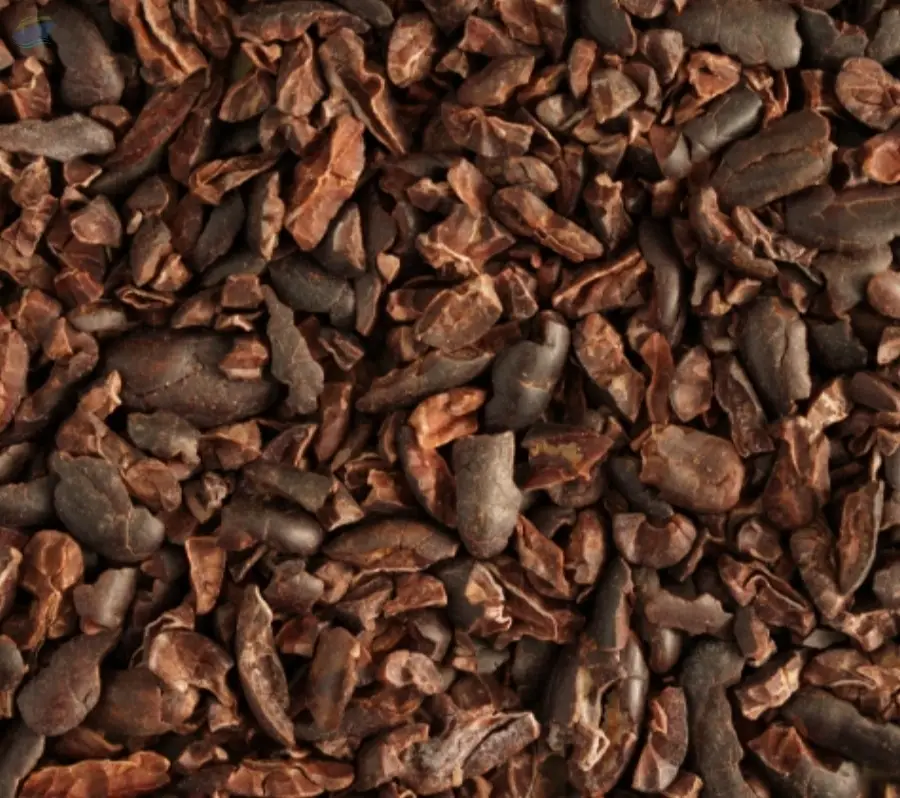 Raw Cocoa Nibs Premium Quality