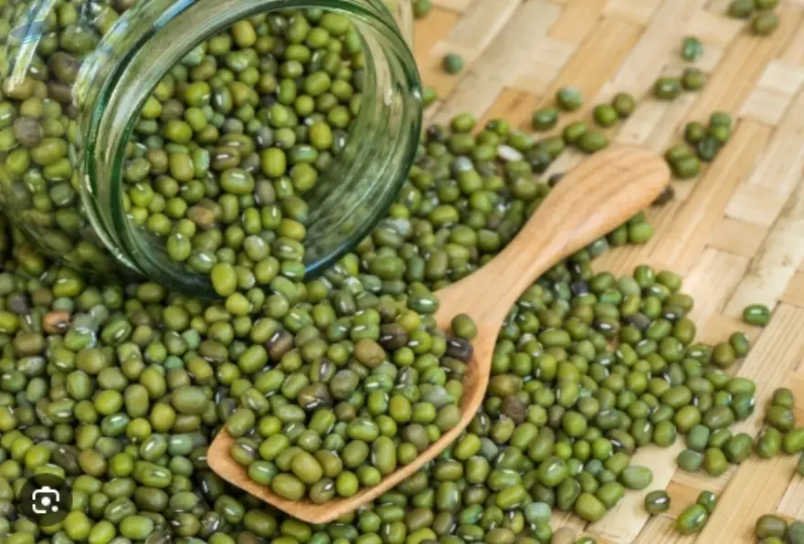 Mung Beans Premium Quality