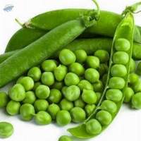Whole Green Peas Premium Quality