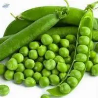Whole Green Peas Premium Quality