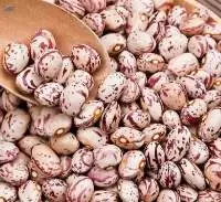 Sugar Beans Premium Quality