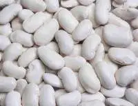 Polish White Kidney Beans Premium Quality