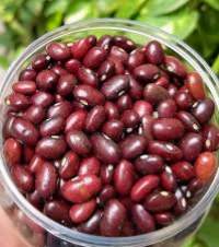 Red Kidney Beans Premium Quality