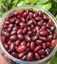 Red Kidney Beans Premium Quality