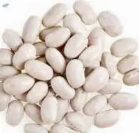 Navy Beans Splits Premium Quality