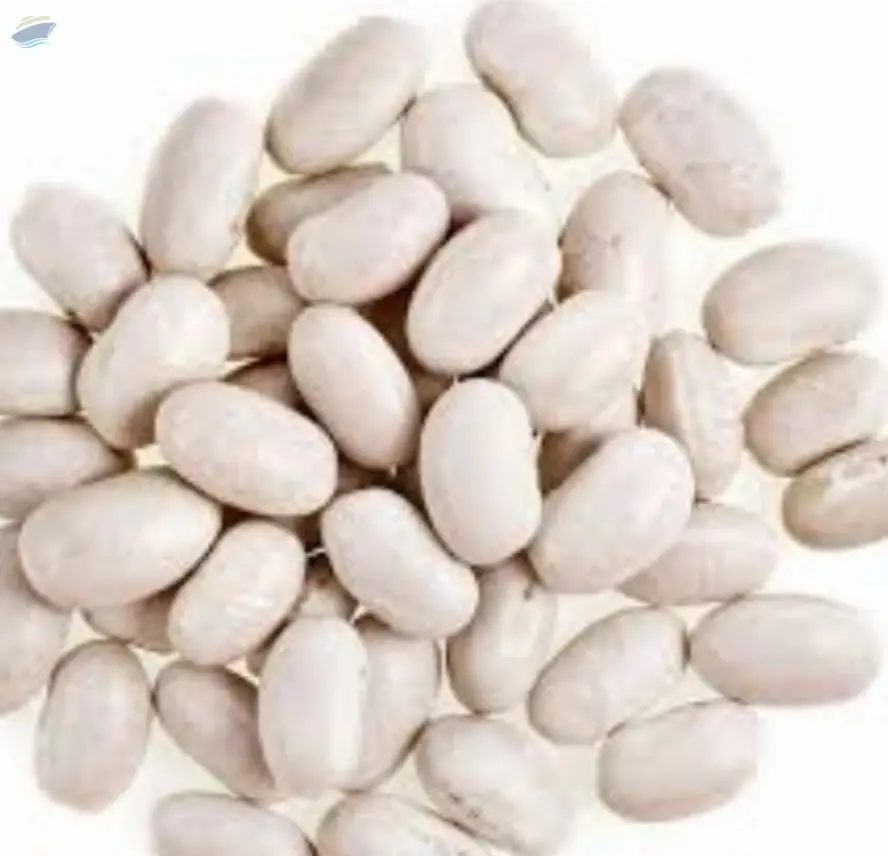 Navy Beans Splits Premium Quality