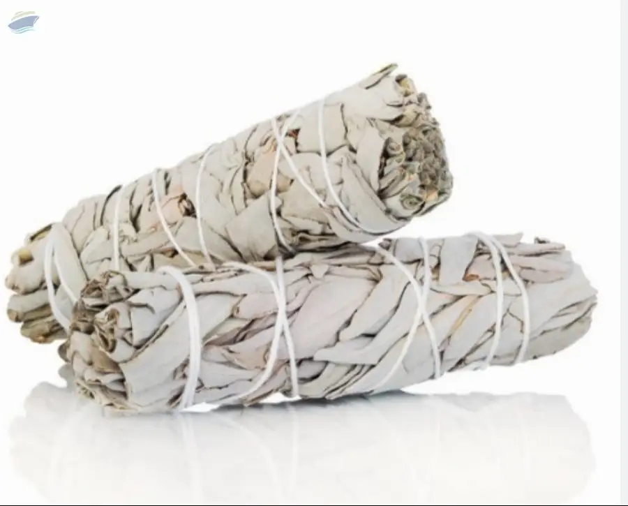 White Sage Smudge Premium Quality
