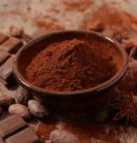 Cocoa Powder Premium Quality