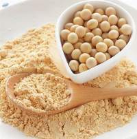 Soya Protein Concentrate Premium Quality