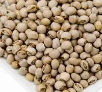 Pigeon Pea Premium Quality