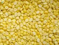 Mung Dal Premium Quality