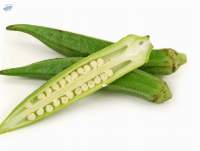 Fresh Okra (Lady Finger) for Sale