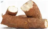 Fresh Cassava for Sale
