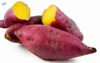 Fresh Sweet Potatoes for Sale Premium Qualit