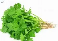Premium Coriander Seeds 