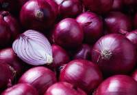 Fresh Red Onions Premium Quality
