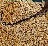 Sesame Seeds / Sesame Oil
