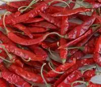 Red Chillies
