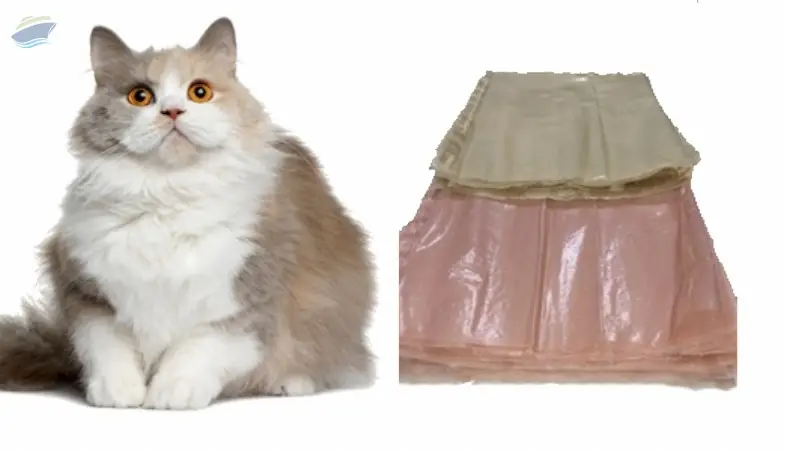 Pet waste bag