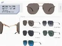 Titanium Sunglasses
