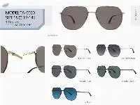 Titanium Sunglasses