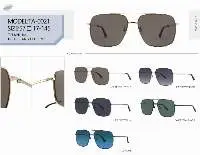 Titanium Sunglasses