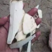 Raw Agarwood Chips BRAND: AGARCB102