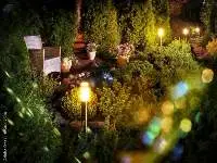 Garden Lighting
