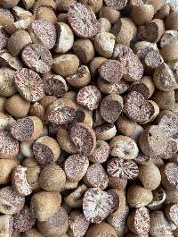 Betel Nut (Betel Nuts Split)