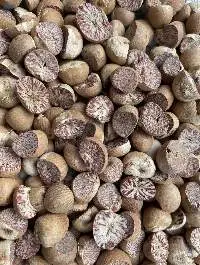 Betel Nut (Betel Nuts Split)