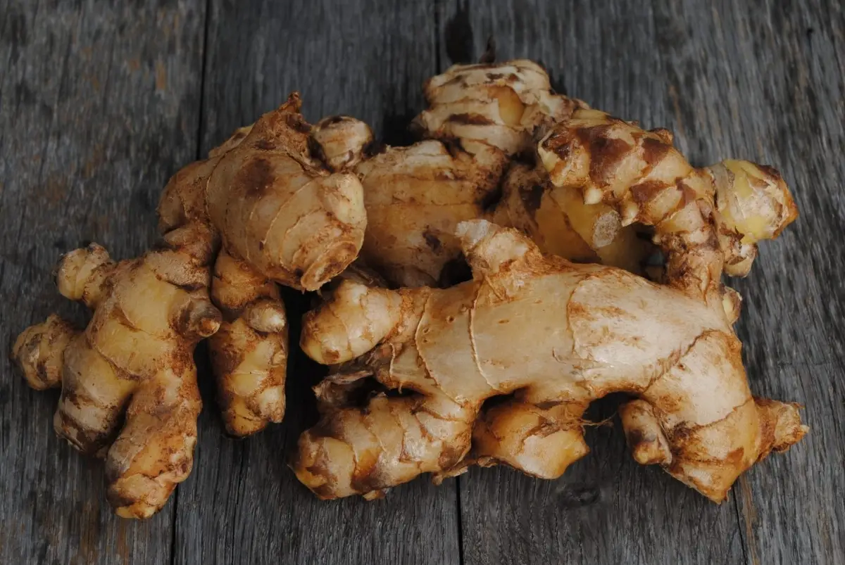 Ginger