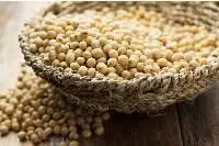 Soya beans