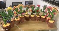 Cactus Toys