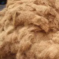 Coconut Fiber