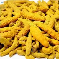 Turmeric Fingers