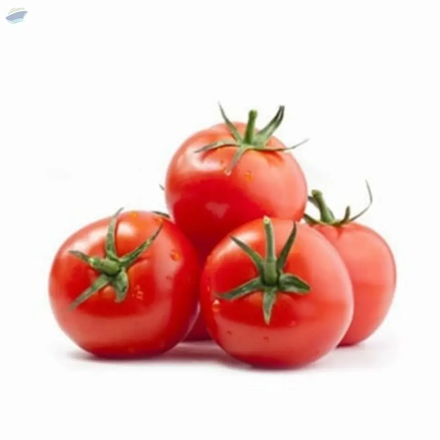 Tomato
