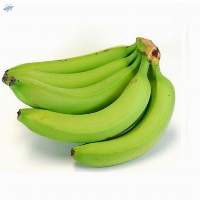 Fresh Green Banana