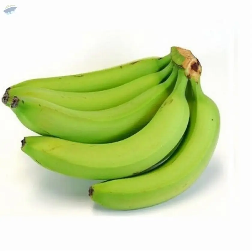 Fresh Green Banana