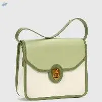 Vintage Premium Small Square Bag