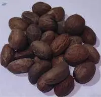 Bitter Kola/Garcinia Kola