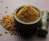 Coriander
