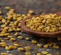 Fenugreek