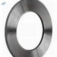 Kammprofile Gasket