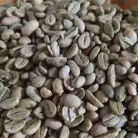 Nova Gardens Coffee - Arabica And Robusta