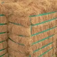 Coconut Coir/Fibre