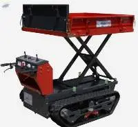 Multi-Directional Dumping Carrier Vehicle
