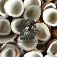 Copra/ Dried Copra