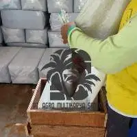 Coco Peat Planter Bag