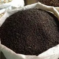 Black Pepper