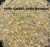 1509 Golden Basmati Sella Rice